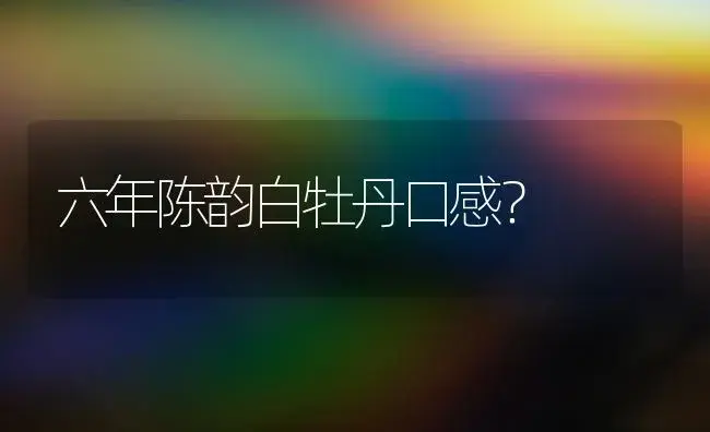 六年陈韵白牡丹口感？ | 多肉养殖