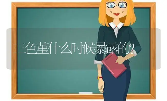 三色堇什么时候暴露的？ | 绿植常识