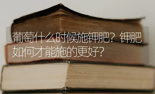 葡萄什么时候施钾肥？钾肥如何才能施的更好？ | 果木种植