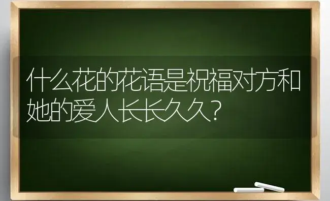 什么花的花语是祝福对方和她的爱人长长久久？ | 绿植常识