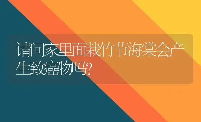 请问家里面栽竹节海棠会产生致癌物吗？ | 绿植常识