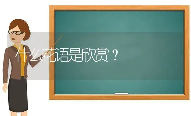 什么花语是欣赏？ | 绿植常识