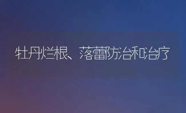 牡丹烂根、落蕾防治和治疗 | 家庭养花