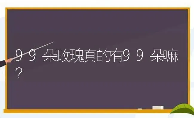 99朵玫瑰真的有99朵嘛？ | 绿植常识