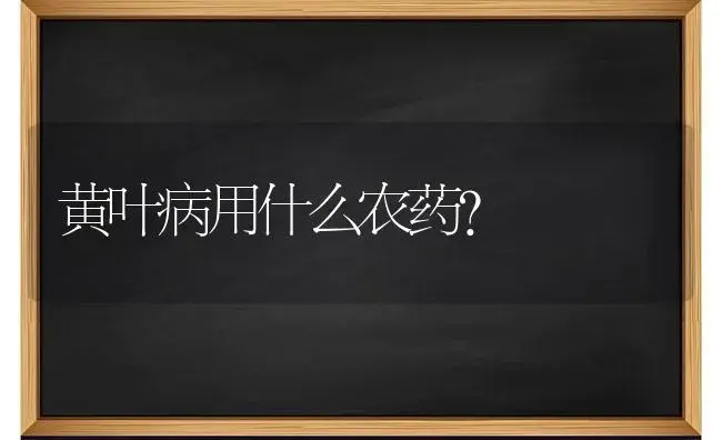 黄叶病用什么农药？ | 绿植常识