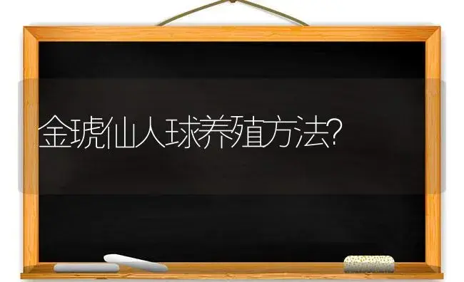 金琥仙人球养殖方法？ | 多肉养殖