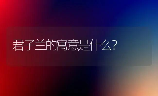 君子兰的寓意是什么？ | 绿植常识