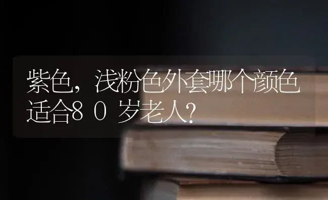 紫色,浅粉色外套哪个颜色适合80岁老人？ | 多肉养殖