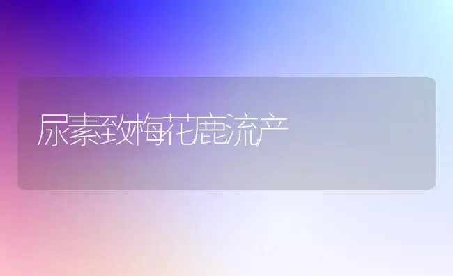 尿素致梅花鹿流产 | 家庭养花