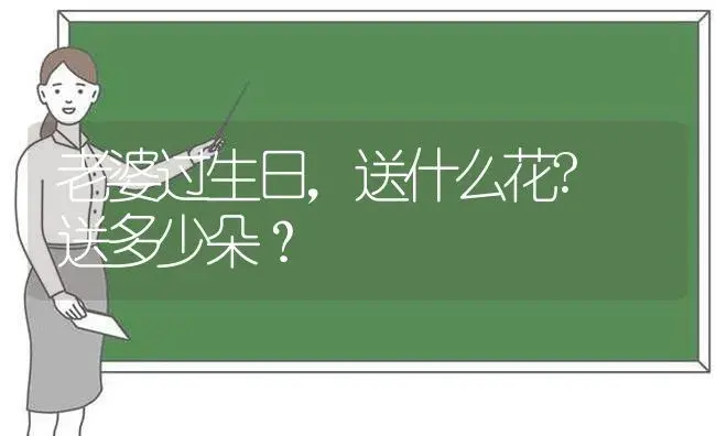 老婆过生日，送什么花? 送多少朵？ | 绿植常识