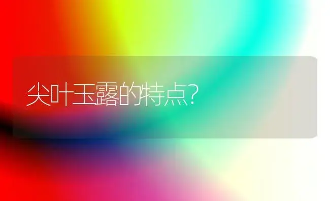 尖叶玉露的特点？ | 多肉养殖