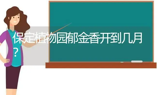 保定植物园郁金香开到几月？ | 绿植常识