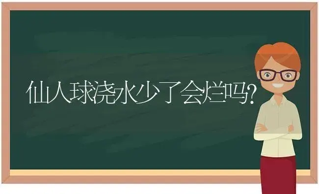 仙人球浇水少了会烂吗？ | 多肉养殖