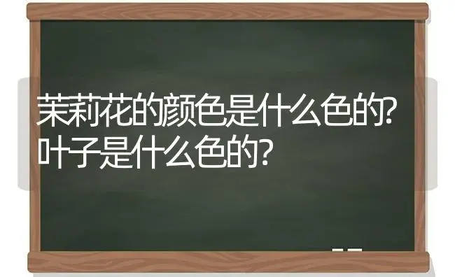 茉莉花的颜色是什么色的?叶子是什么色的？ | 绿植常识