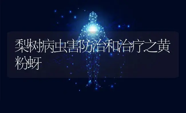 梨树病虫害防治和治疗之黄粉蚜 | 果木种植