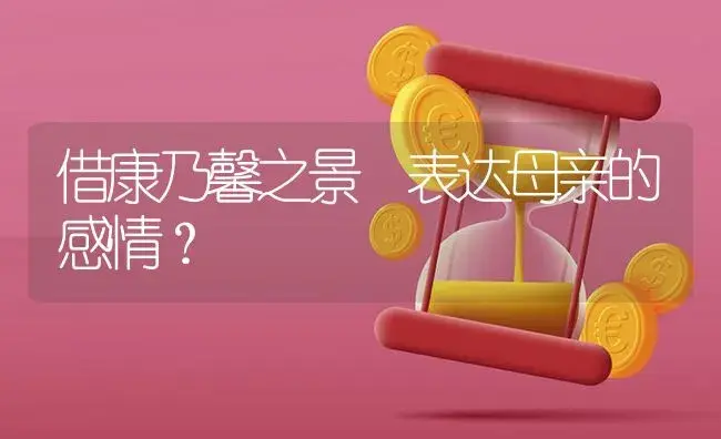 借康乃馨之景 表达母亲的感情？ | 绿植常识