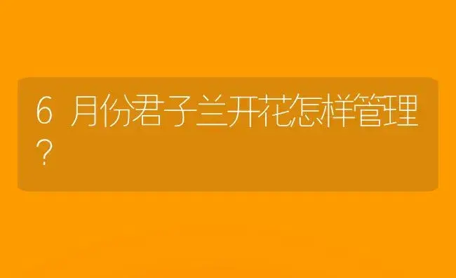 6月份君子兰开花怎样管理？ | 绿植常识