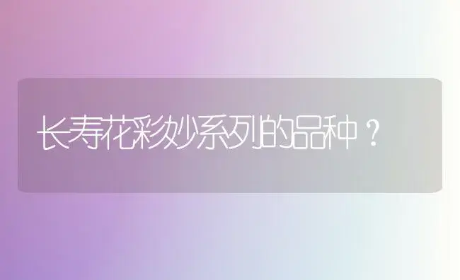 长寿花彩妙系列的品种？ | 多肉养殖
