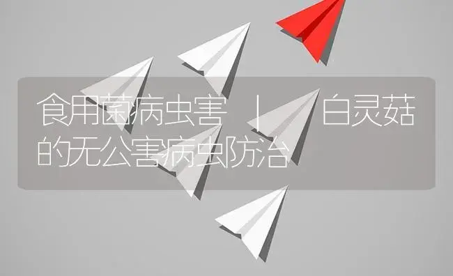 白灵菇的无公害病虫防治 | 菌菇种植