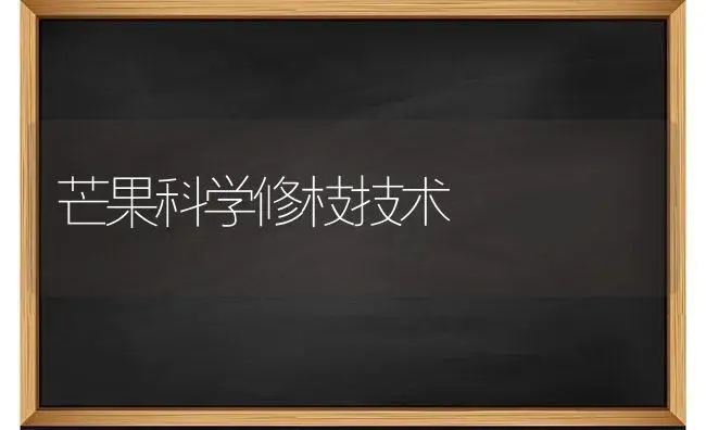 芒果科学修枝技术 | 果木种植