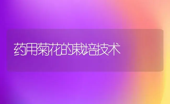 苹果树如何整形修剪 | 果木种植