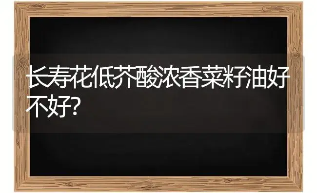 长寿花低芥酸浓香菜籽油好不好？ | 多肉养殖