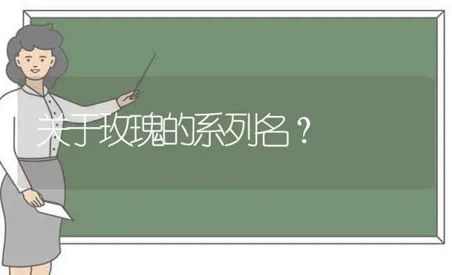 关于玫瑰的系列名？ | 绿植常识