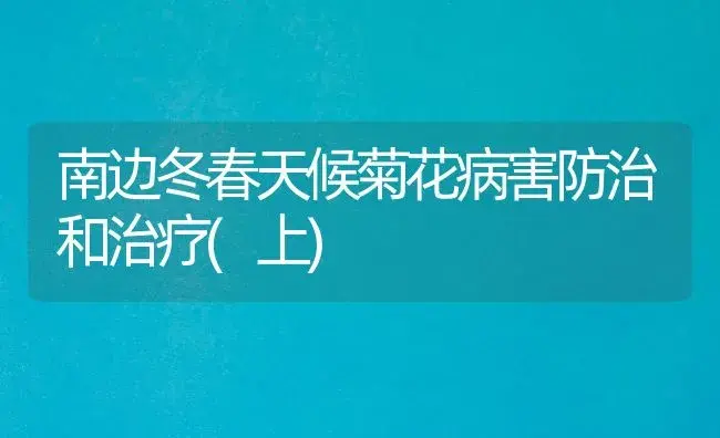 南边冬春天候菊花病害防治和治疗(上) | 家庭养花