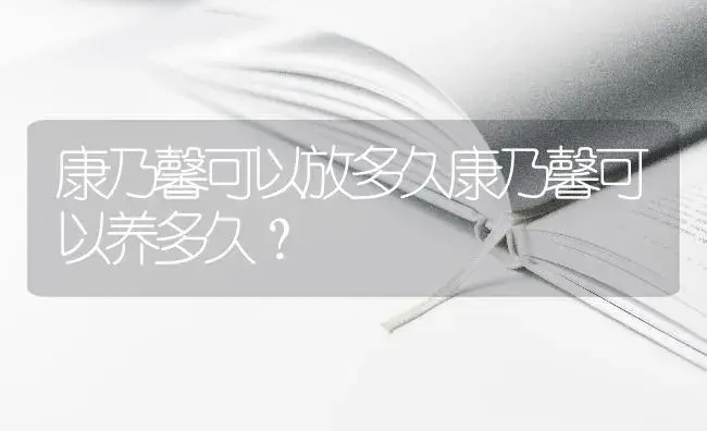 康乃馨可以放多久康乃馨可以养多久？ | 绿植常识