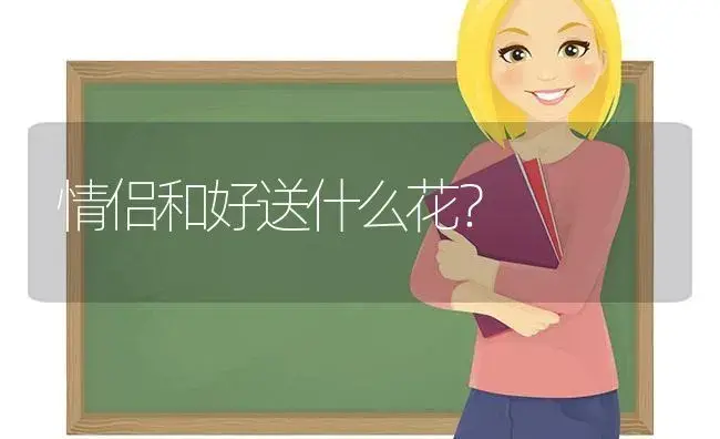 情侣和好送什么花？ | 绿植常识