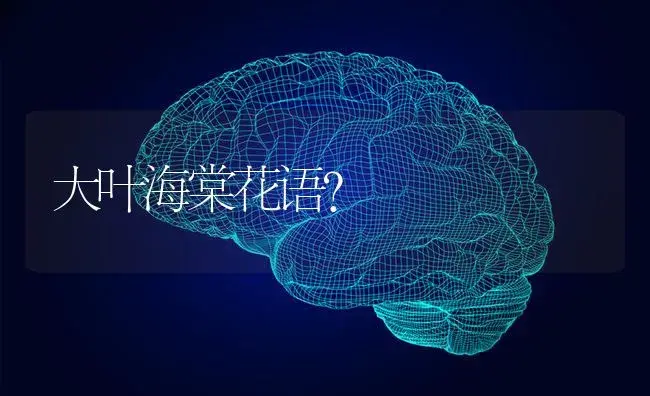 怎么才能让玫瑰花在水中活的久一点？ | 绿植常识