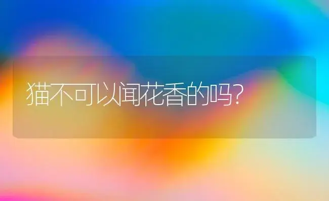 猫不可以闻花香的吗？ | 绿植常识