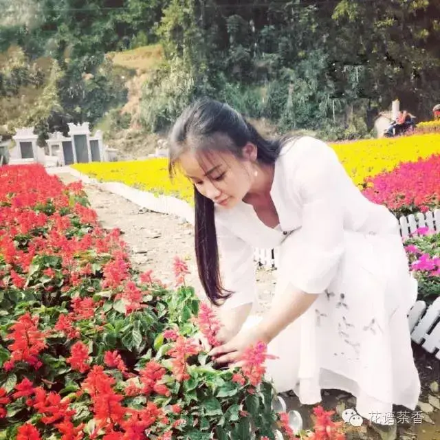 花语茶香 | 如何运营花艺工作室的六条小建议