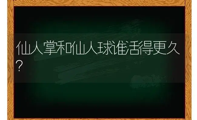 仙人掌和仙人球谁活得更久？ | 多肉养殖