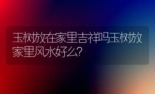 玉树放在家里吉祥吗玉树放家里风水好么？ | 多肉养殖