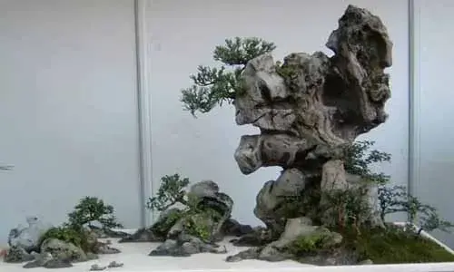 山水盆景 | 山水盆景的制作过程中石料的粘接方法