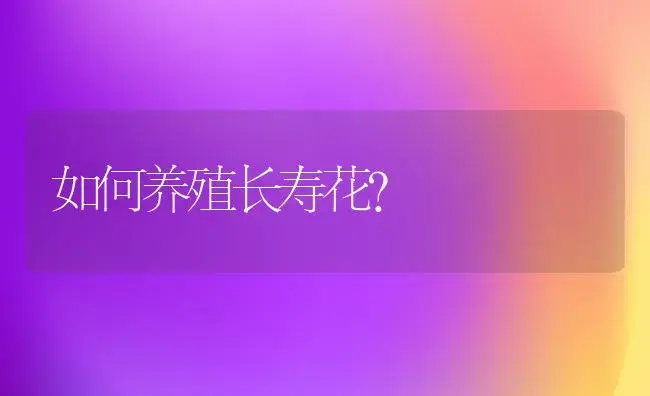 蟹爪兰用哪种花枝扦插可以一层一层向上长？ | 多肉养殖