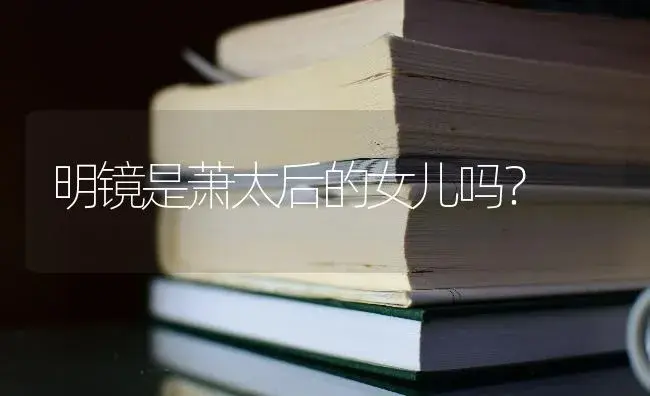 明镜是萧太后的女儿吗？ | 多肉养殖