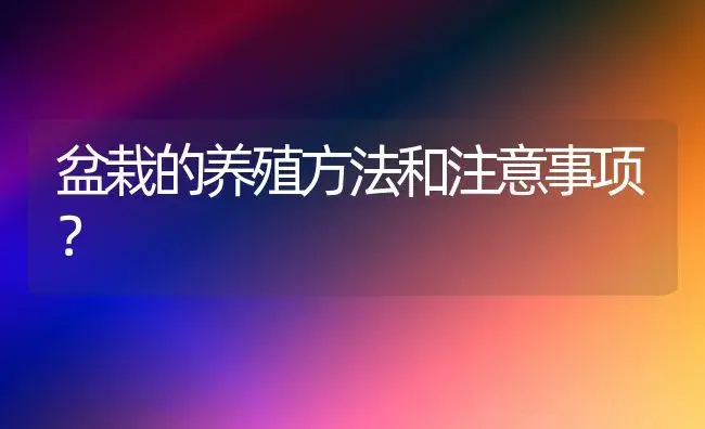 盆栽的养殖方法和注意事项？ | 绿植常识