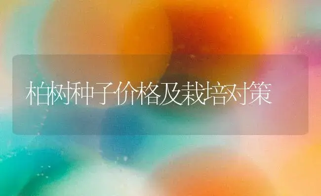 柏树种子价格及栽培对策 | 家庭养花