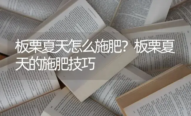 板栗夏天怎么施肥？板栗夏天的施肥技巧 | 果木种植