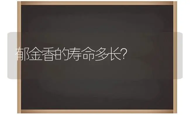 郁金香的寿命多长？ | 绿植常识