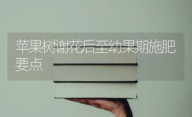 苹果树谢花后至幼果期施肥要点 | 果木种植