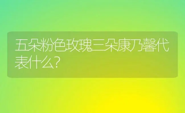 五朵粉色玫瑰三朵康乃馨代表什么？ | 绿植常识