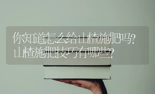 你知道怎么给山楂施肥吗？山楂施肥技巧有哪些？ | 果木种植