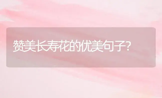 赞美长寿花的优美句子？ | 绿植常识