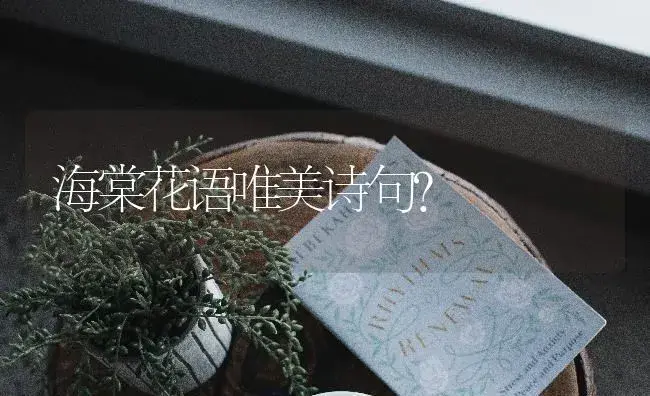 海棠花语唯美诗句？ | 绿植常识