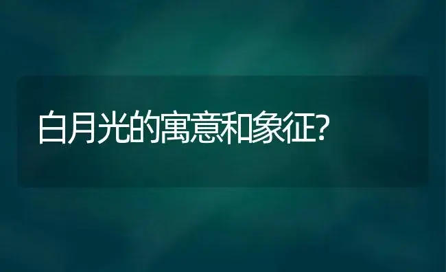 白月光的寓意和象征？ | 绿植常识