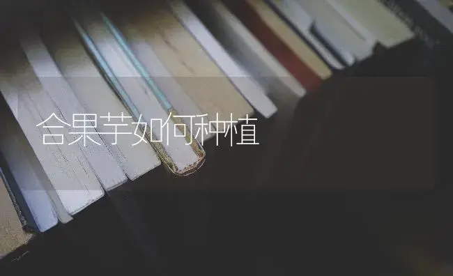 合果芋如何种植 | 特种种植