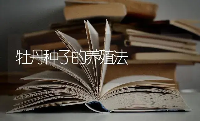 牡丹种子的养殖法 | 特种种植